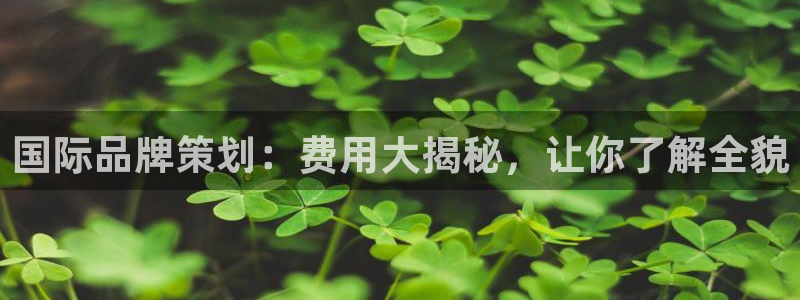 美高梅4688集团am