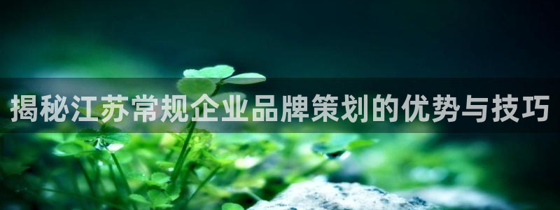 美高梅官网开户app