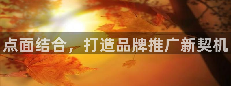 美高梅官网