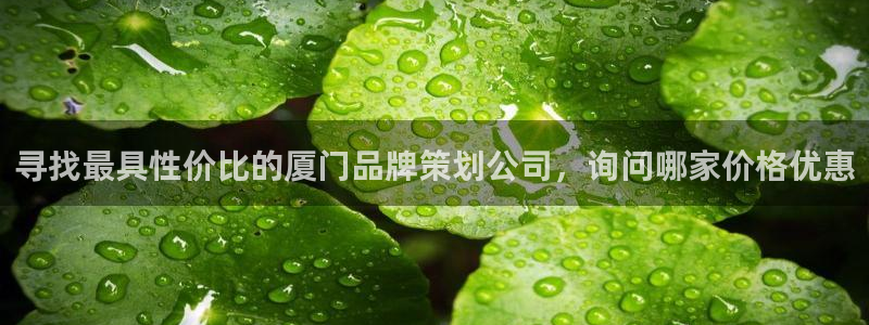 mgm美高梅游戏网页
