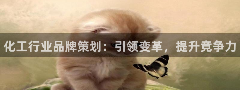 澳门新莆京app美高梅
