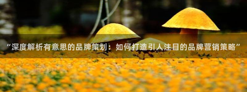 美高梅官网开户app