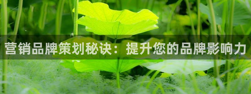 美高梅澳门娱乐平台下载