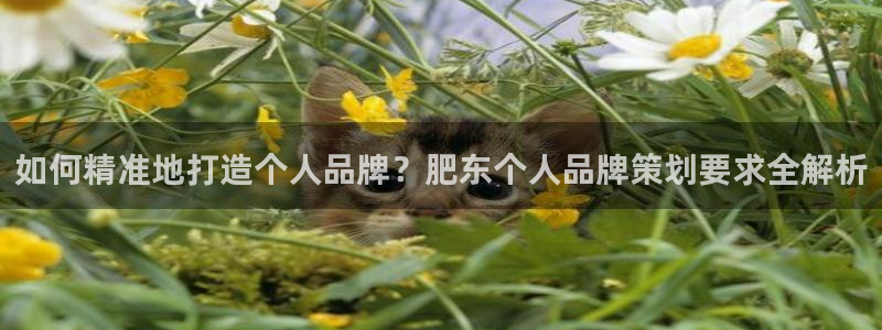 澳门mgm4858美高梅