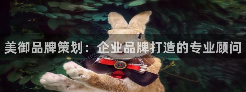 mg美高梅游戏网站多少