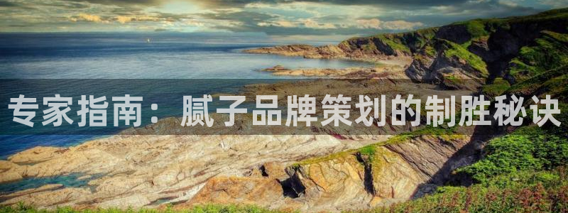 美高梅官网正网