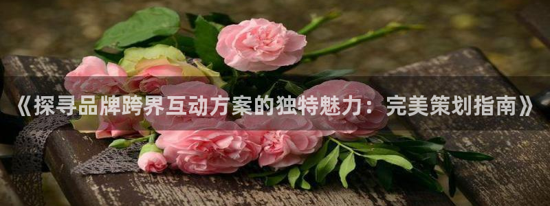 美高梅棋牌官网入口