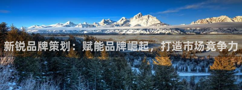 mgm美高梅国际官方网站