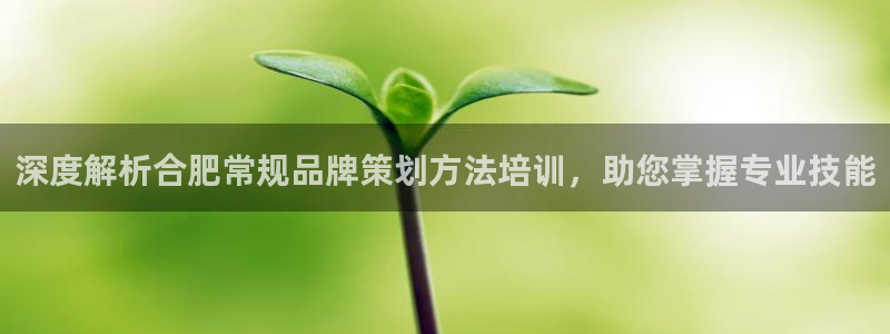 美高梅mgm最新登录入口