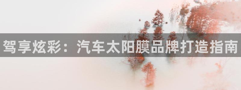 mgm美高梅平台的登录方式