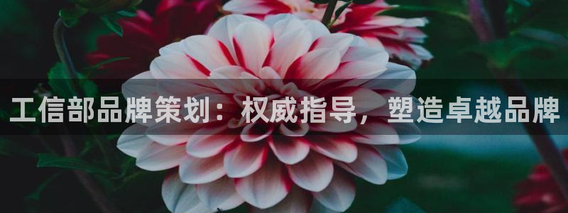 美高梅澳门娱乐平台下载