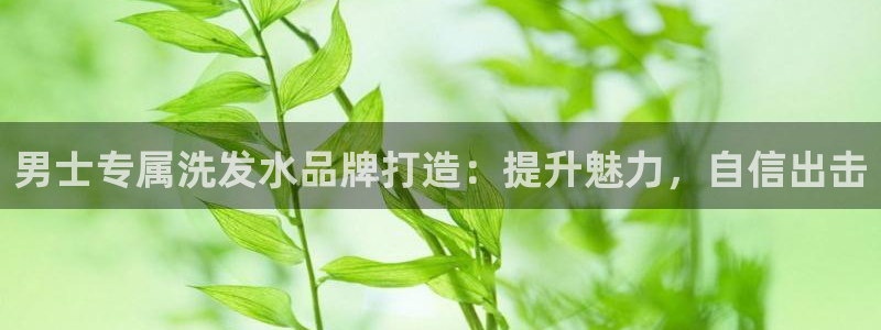 mgm美高梅官网版安卓版