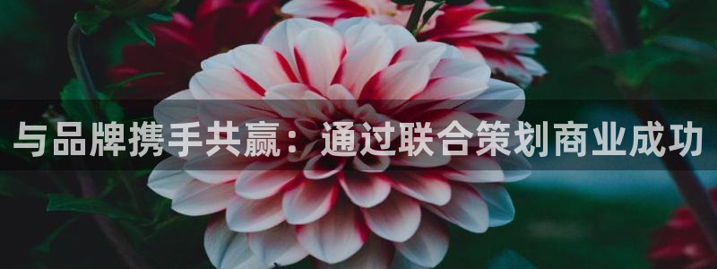 美高梅集团4688.am.首页