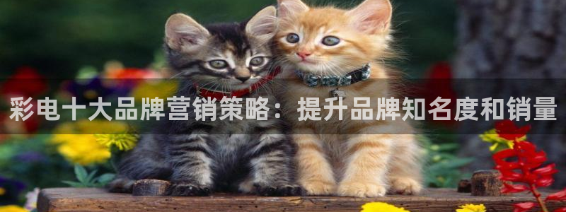 mg美高梅游戏网站多少