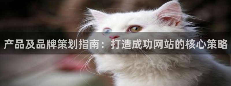 澳门mgm4858美高梅