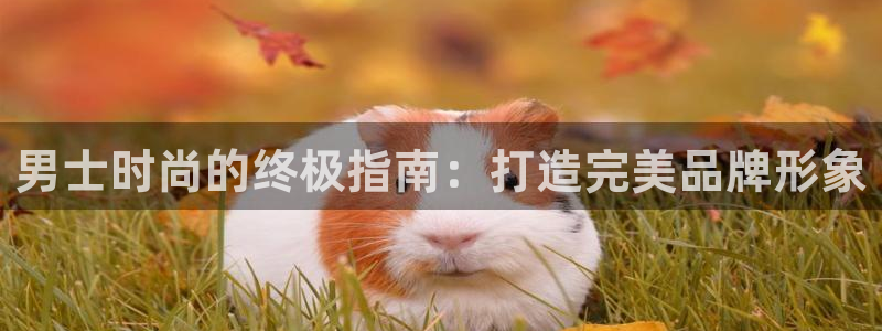美高梅棋牌官网入口