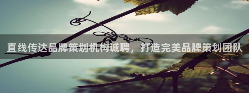 澳门新莆京app美高梅
