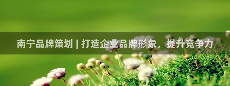 美高梅MGM电子娱乐游戏