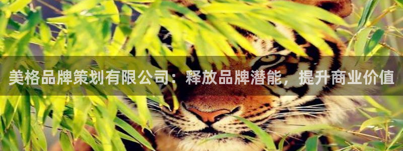 美高梅中文官网