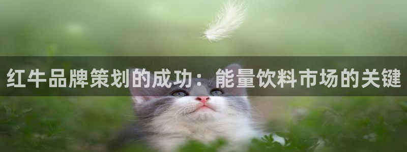 mgm美高梅游戏网页|红牛品牌