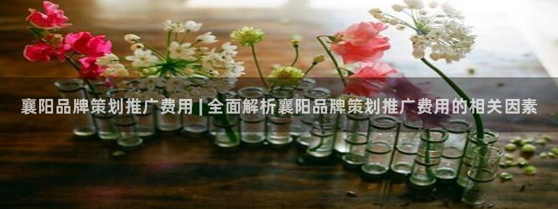 美高梅中文官网|襄阳品牌策划推